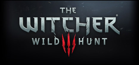 witcher 3 top