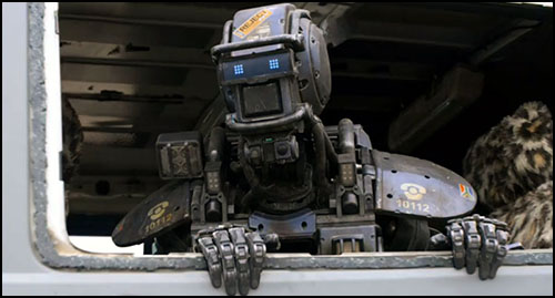 chappie top