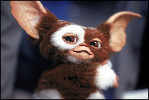 gremlins gizmo