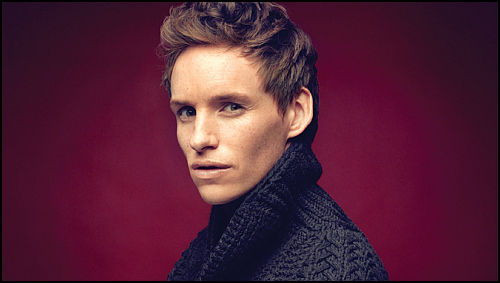 eddie redmayne newt scamander