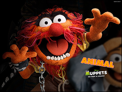 animal muppet