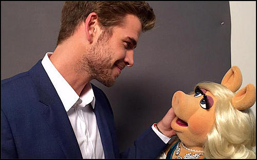 liam muppets ust