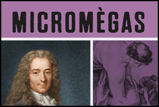 micromegas-voltaire-ust