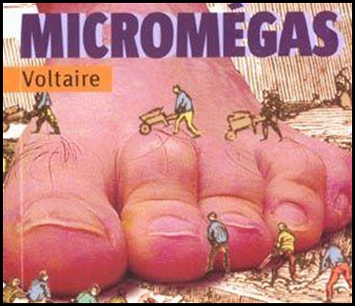 micromegas-voltaire