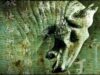 Tarihi-Fantastik Türünün Ustası “Guy Gavriel Kay” Nihayet Dilimizde!