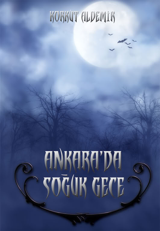ankarada soguk gece