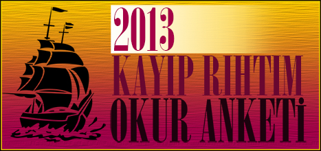 okur anketi 2013